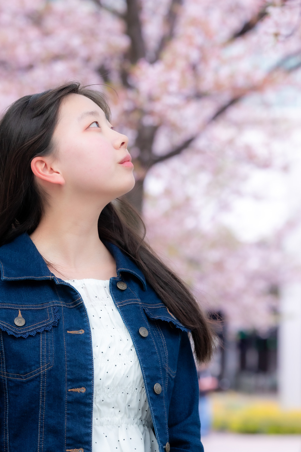 金沢レンタル彼女高収入